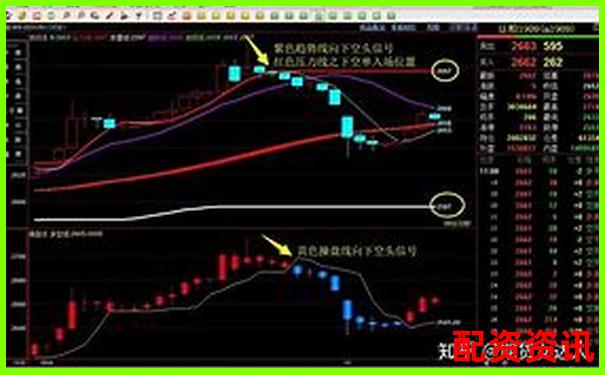 期權杠桿交易盈利秘訣多少倍最合適-股票最多可以幾倍杠桿交易