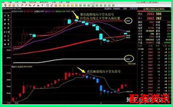 雞蛋期貨杠桿倍數究竟能有多高 30倍真的靠譜嗎-正規期貨配資十大平臺